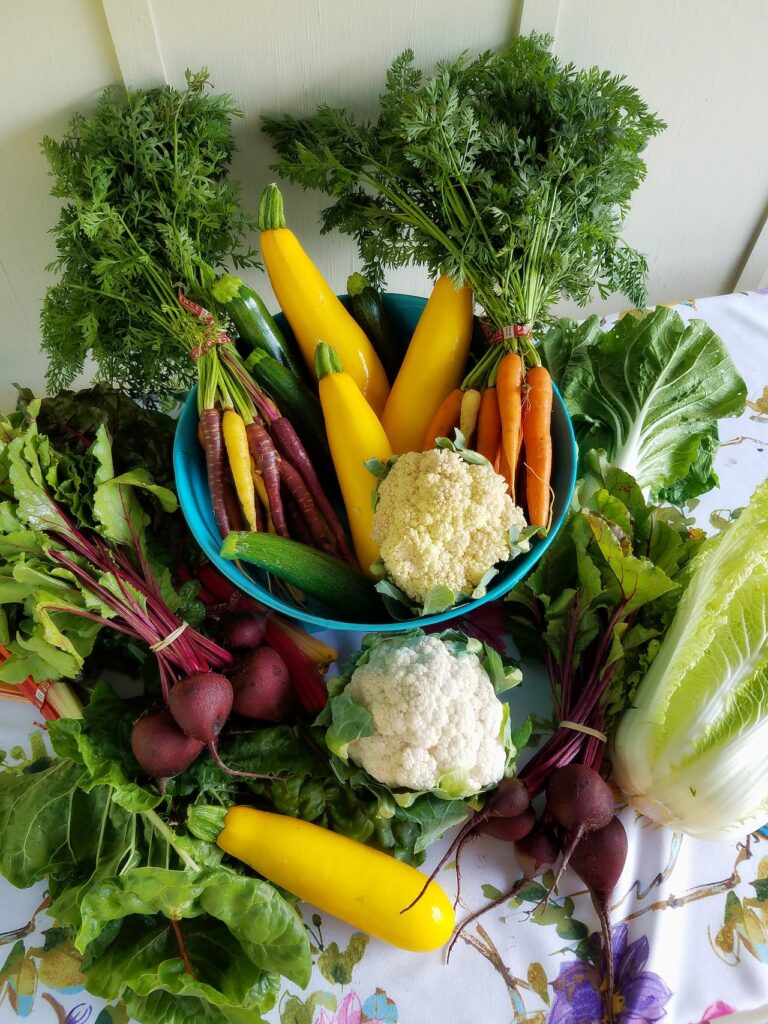 healthy food